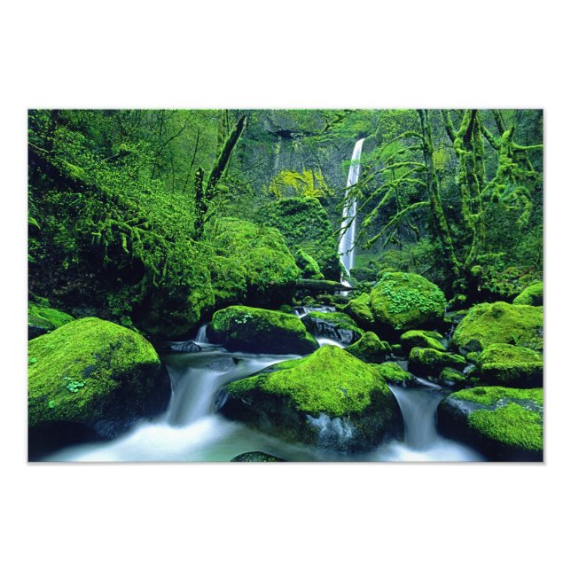 Foto EE. UU., Oregón, Columbia River Gorge National 3 (Frente)