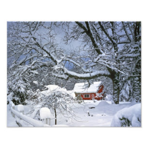 Foto EE. UU., Oregón, condado de Clackamas. Nieve fresc