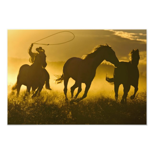 Foto EE. UU., Oregón, Seneca, Ponderosa Ranch. (Frente)