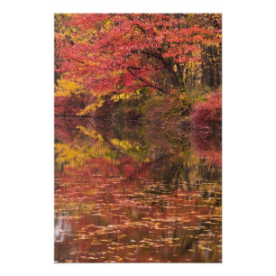 Foto EE.UU., Pennsylvania, Delaware Water Gap National 