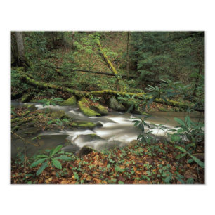 Foto EE. UU., Tennessee. Big South Fork National River