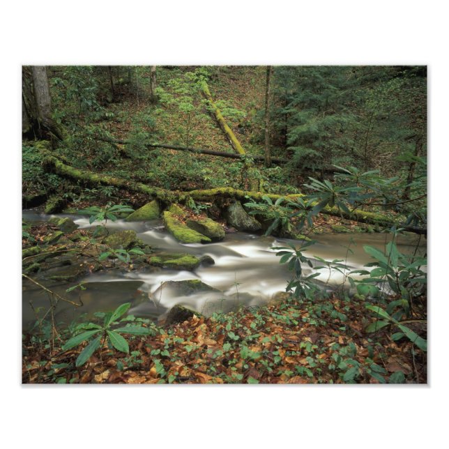 Foto EE. UU., Tennessee. Big South Fork National River (Frente)