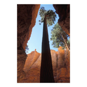 Foto EE. UU., Utah, Parque Nacional Bryce Canyon. Alto