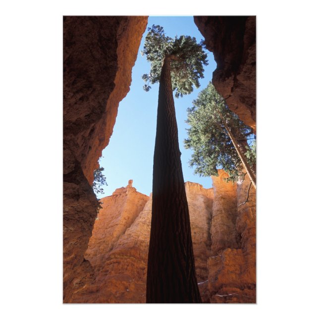 Foto EE. UU., Utah, Parque Nacional Bryce Canyon. Alto (Frente)