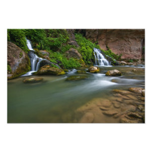 Foto EE. UU., Utah, Parque Nacional Zion. El Virgin