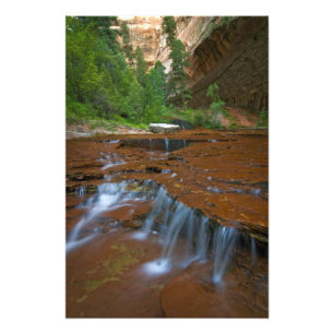 Foto EE. UU., Utah, Parque Nacional Zion. Escénico desd
