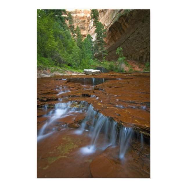 Foto EE. UU., Utah, Parque Nacional Zion. Escénico desd (Frente)