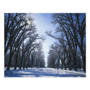 Foto EE. UU., Utah, Salt Lake City, Liberty Park,