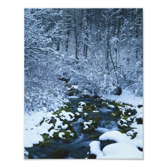 Foto EE.UU., Utah, Wasatch-Catch National Forest, (Frente)