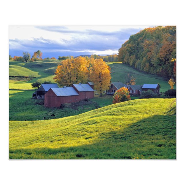 Foto EE. UU., Vermont, granja Jenne. Colinas verdes ond (Frente)