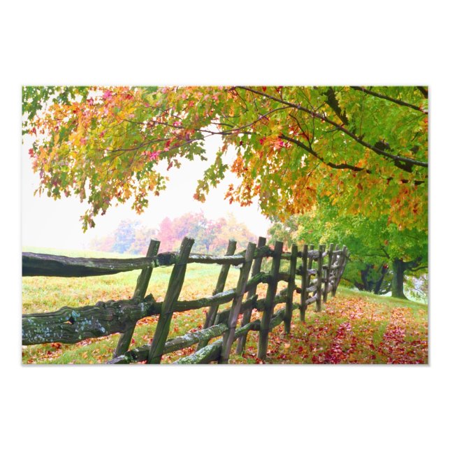 Foto EE. UU., Vermont. Valla bajo el follaje de otoño. (Frente)