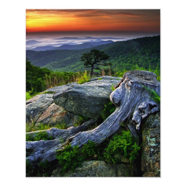 Foto EE. UU., Virginia, Parque Nacional Shenandoah. (Frente)