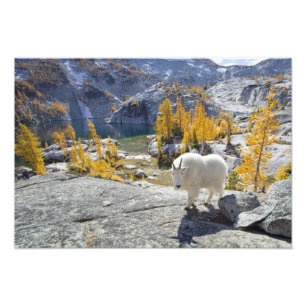 Foto EE. UU., WA, Desierto de Alpine Lakes Enchantments