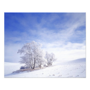 Foto EE. UU., Washington, Área de Palouse, Negro Helado