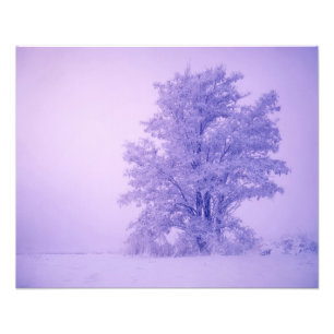 Foto EE.UU., Washington, Condado de Spokane, Frosted