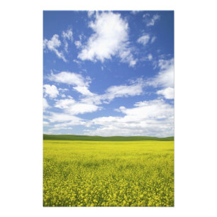 Foto EE. UU., Washington, País Palouse, Floración