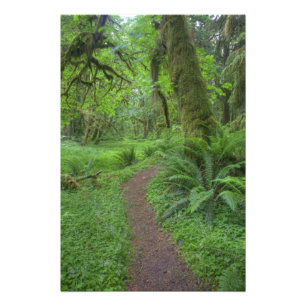 Foto EE. UU., Washington, Parque Nacional Olímpico,