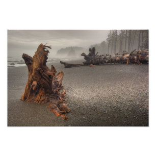 Foto EE. UU., Washington, Parque Nacional Olímpico, Ria