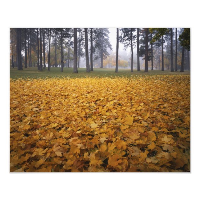 Foto EE. UU., Washington, Spokane, Manito Park, Otoño (Frente)