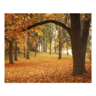 Foto EE. UU., Washington, Spokane, Manito Park, Otoño 2