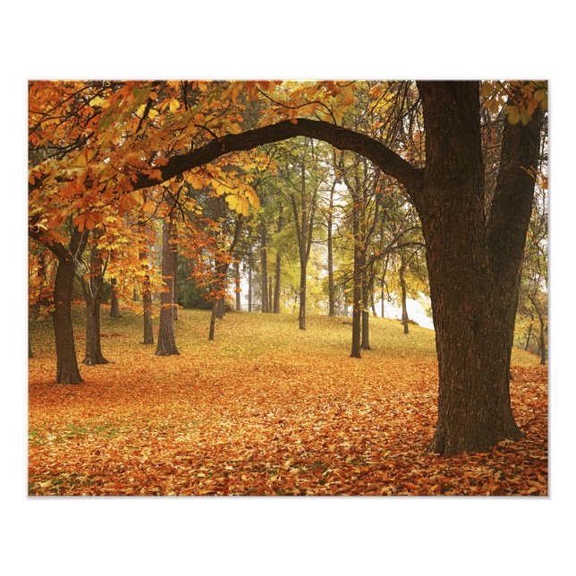 Foto EE. UU., Washington, Spokane, Manito Park, Otoño 2 (Frente)