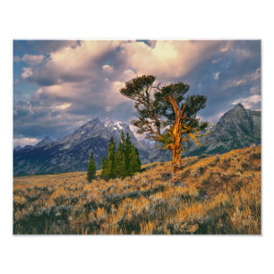 Foto EE. UU., Wyoming, Grand Teton NP. El amanecer salu