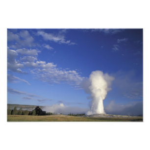Foto EE. UU., Wyoming. Parque Nacional Yellowstone. Vie
