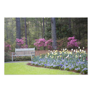 Foto EEUU, Georgia, Montaña Pina. Una frontera de