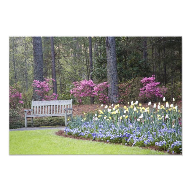 Foto EEUU, Georgia, Montaña Pine. Un borde de (Frente)