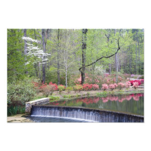 Foto EEUU, Georgia, Montaña Pine. Una pequeña cascada