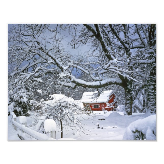 Foto EEUU, Oregón, Condado de Clackamas. Nieve fresca (Frente)