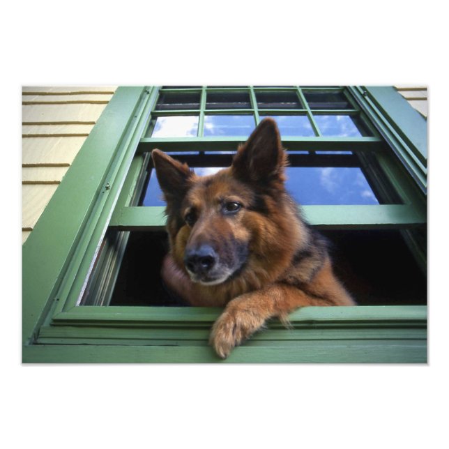 Foto EEUU, Oregón, Portland. Gritar el pelo largo (Frente)