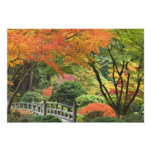 Foto EEUU, Oregón, Portland. Puente de madera y arce