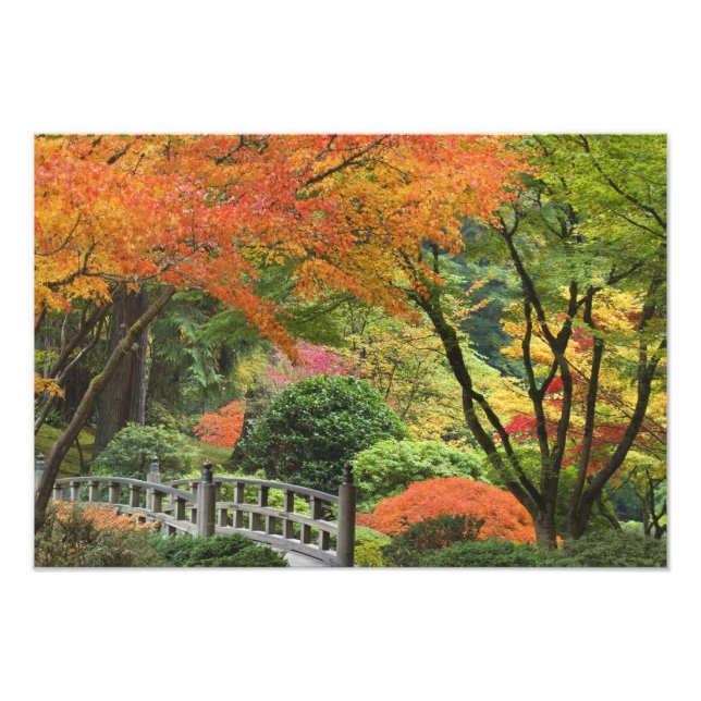 Foto EEUU, Oregón, Portland. Puente de madera y arce (Frente)