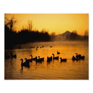 Foto EEUU, Oregón, Portland. Waterfowen Columbia