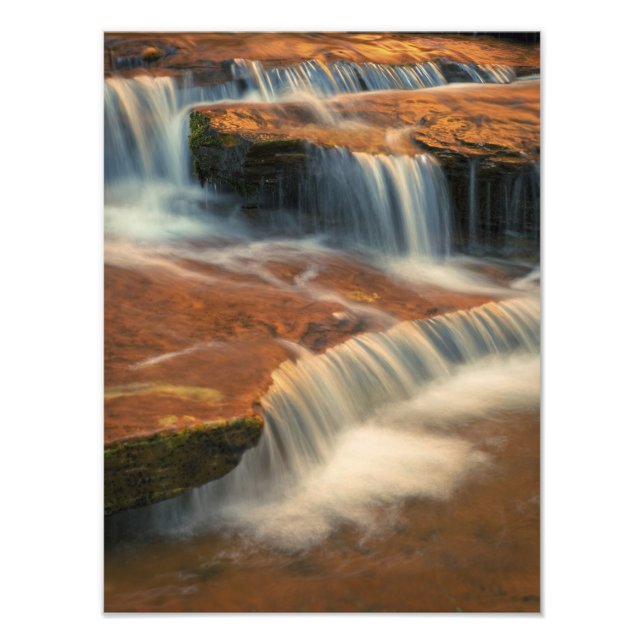 Foto EEUU, Utah, Parque Nacional Zion. Escenario desde (Frente)