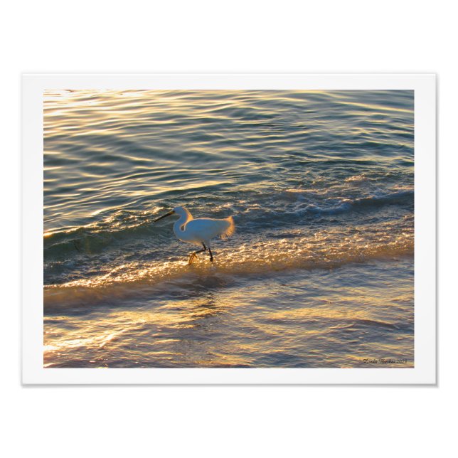 Foto Egret At The Beach Photographic Print (Frente)