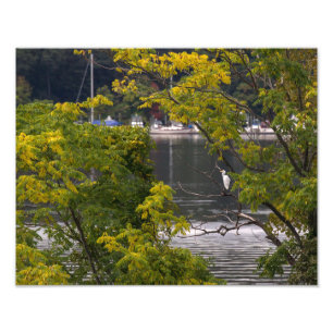 Foto Egret Con Vistas Al Río Hudson