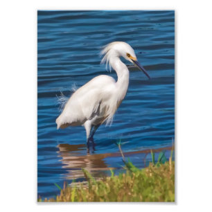 Foto Egret nevado en la charca