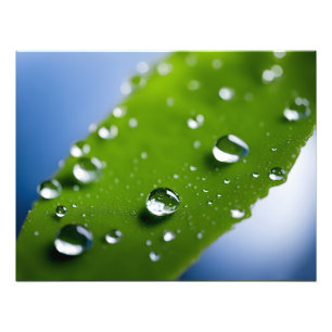 Foto El agua cae sobre las hojas