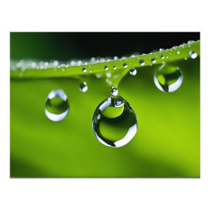 Foto El agua cae sobre las hojas