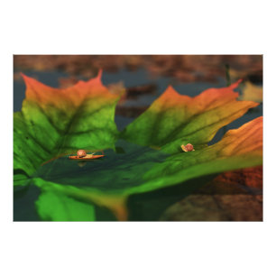 Foto El agua es una gran imagen fotográfica