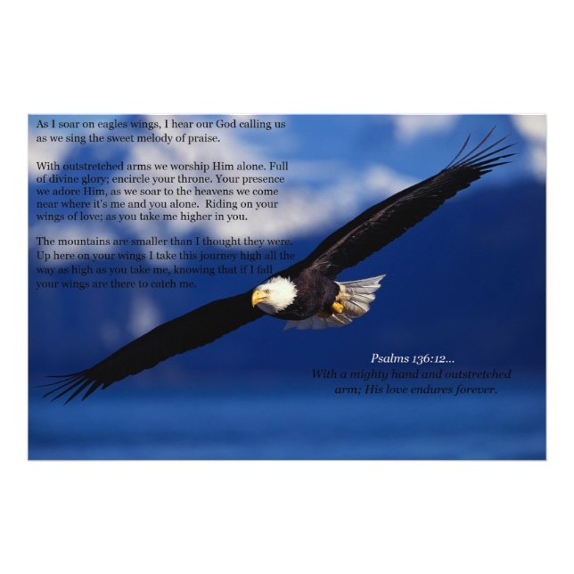 Foto El águila se eleva (Frente)