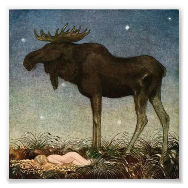 Foto “El alce encuentra a la princesa dormida” de John  (Frente)