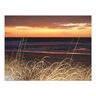 Foto 'El amanecer de Bethanne'