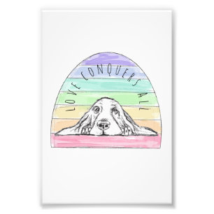 Foto el amor conquista todo perro arcoíris basset hound