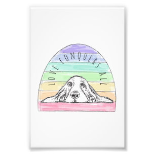 Foto el amor conquista todo perro arcoíris basset hound