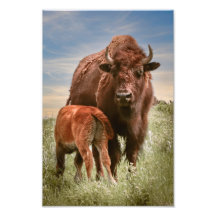 El amor de las madres