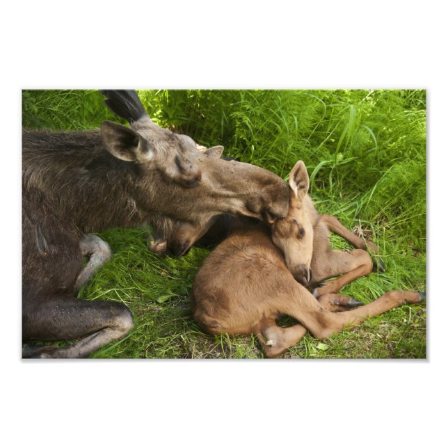 Foto El amor de una madre (Frente)