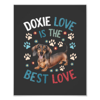 Foto El Amor Doxie Es El Mejor Amor